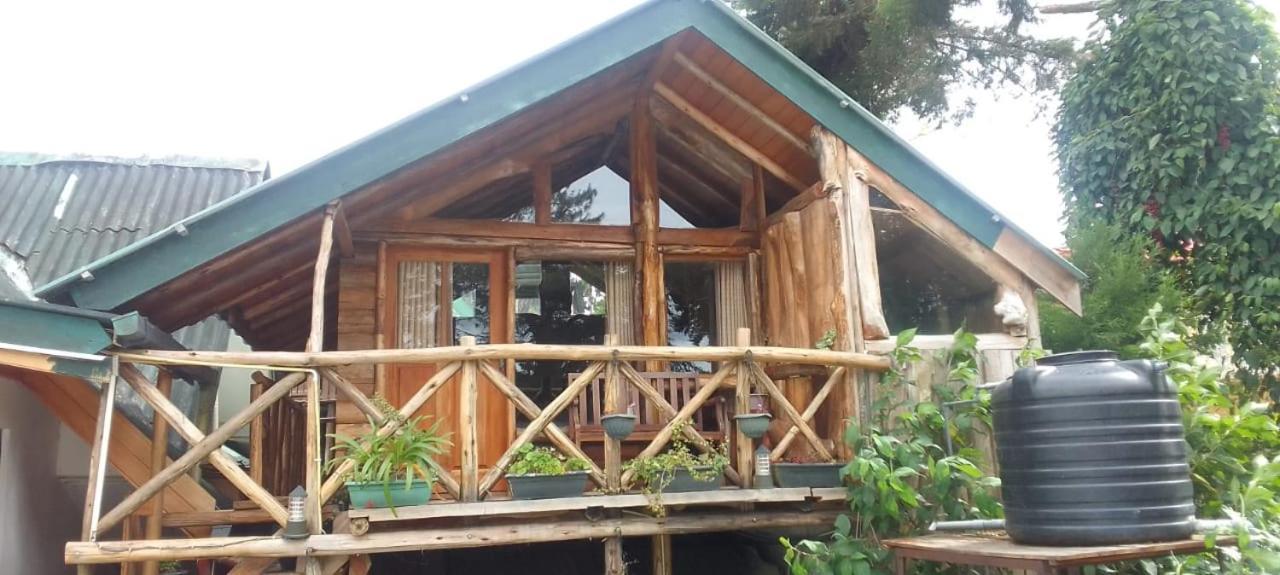 Eco Creations Wooden Cottage 努沃勒埃利耶 外观 照片